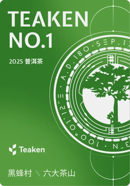 TEAKEN 1号数字身份内飞卡